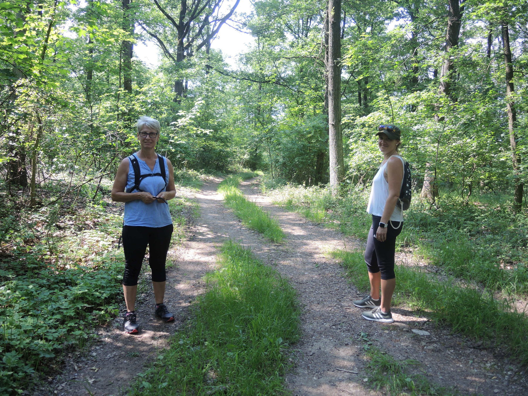 © Andrea Uhl LK NÖ © Andrea Uhl LK NÖ