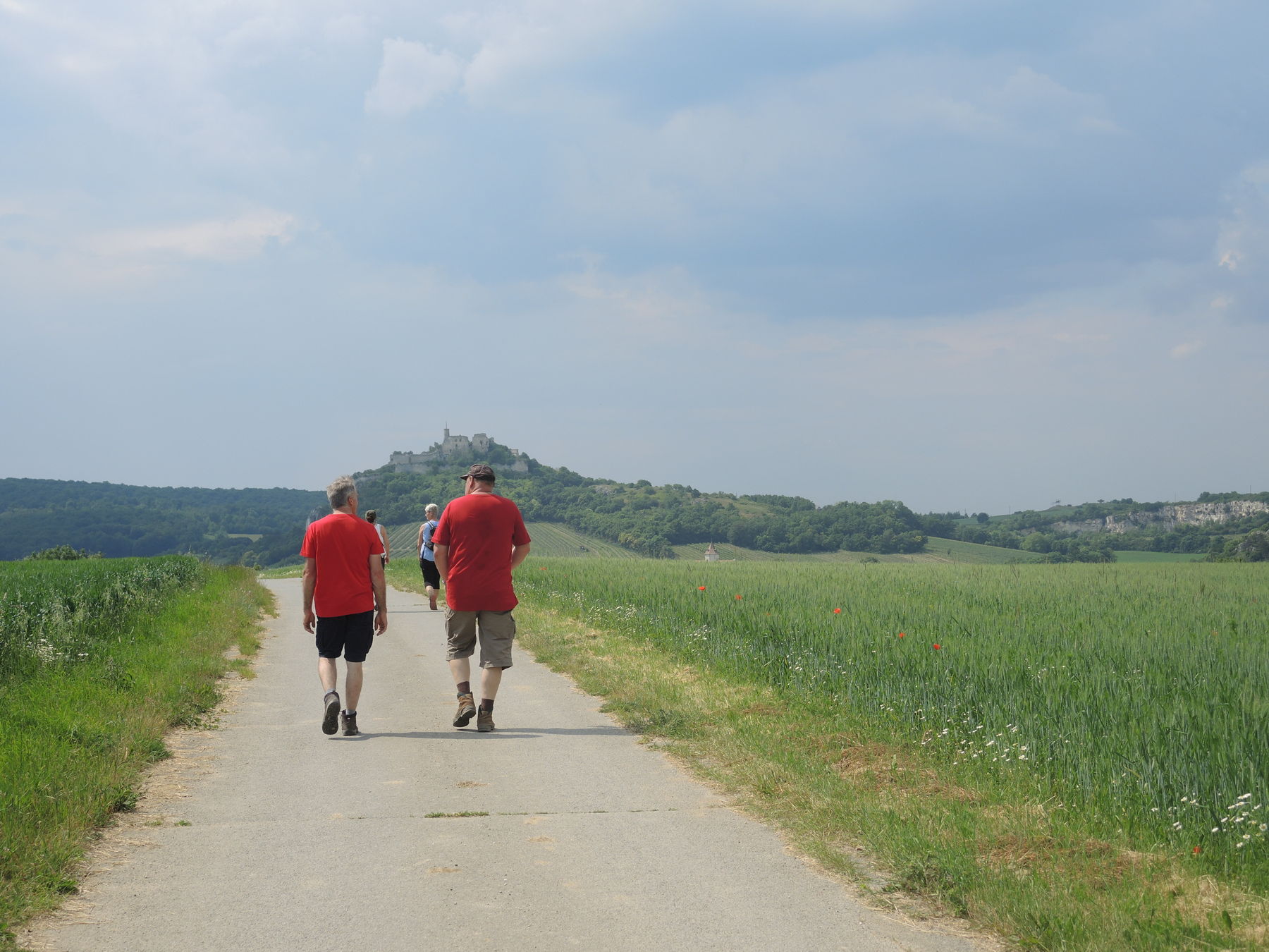 © Andrea Uhl LK NÖ © Andrea Uhl LK NÖ