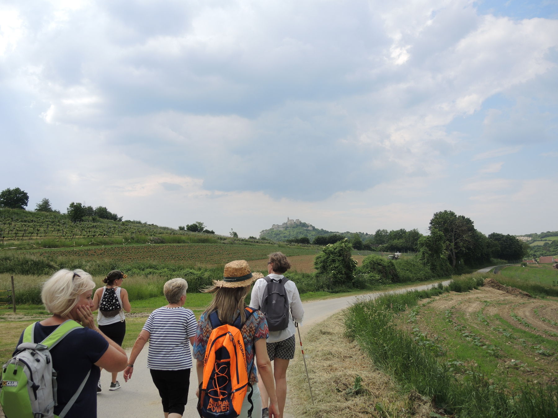 © Andrea Uhl LK NÖ © Andrea Uhl LK NÖ