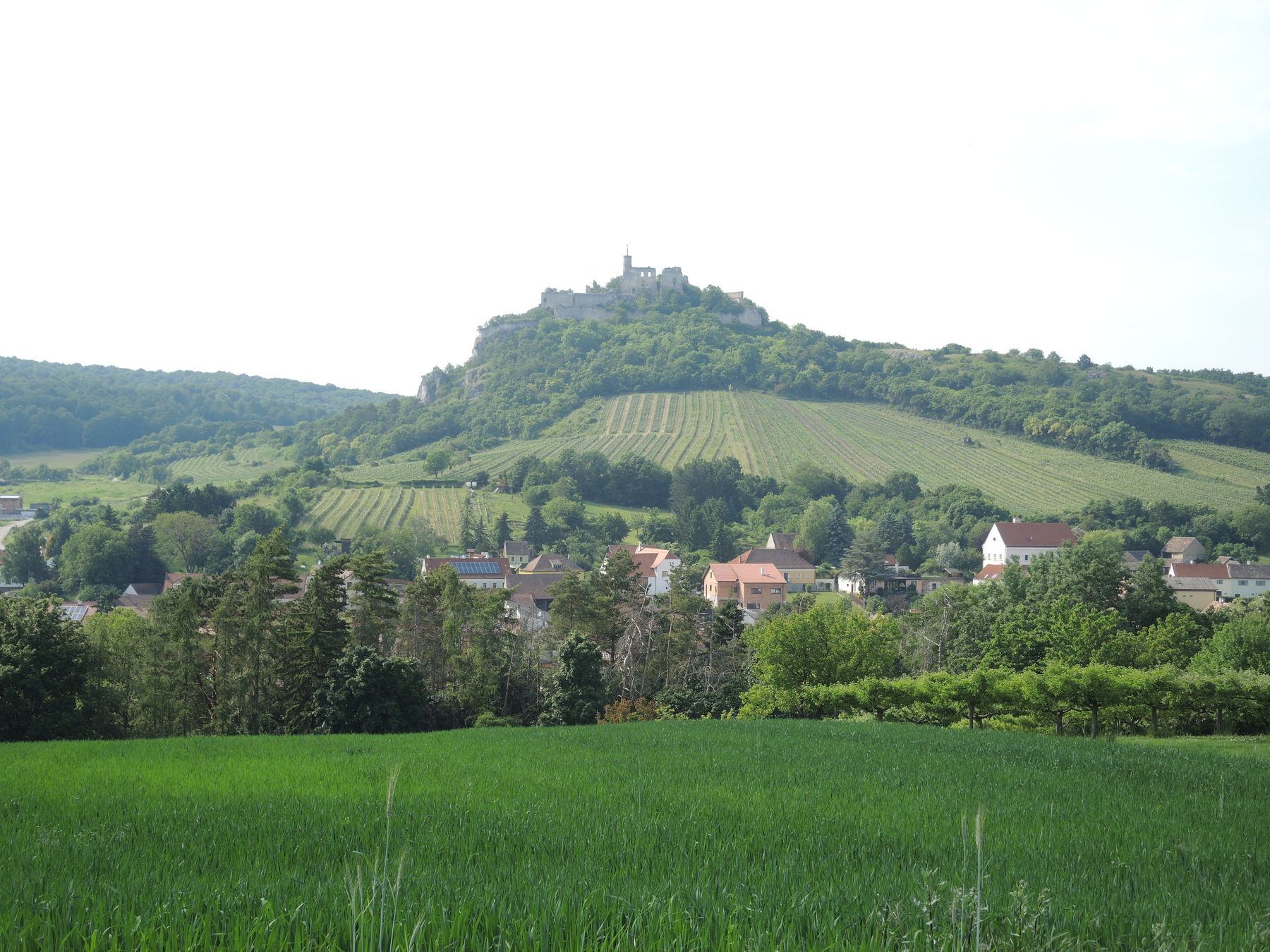 © Andrea Uhl LK NÖ © Andrea Uhl LK NÖ