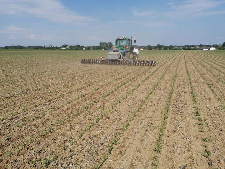 Cultandüngervarianten im Mais am Lysimeterstandort in Pettenbach