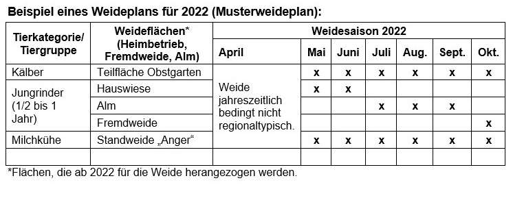 Weideplan 2022 Beispiel.jpg