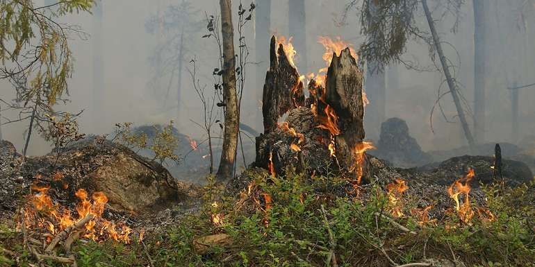 forest-fire-432877 1920.jpg