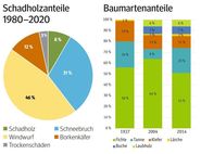 Hohenwart.jpg © LK Kärnten Hohenwart.jpg © LK Kärnten