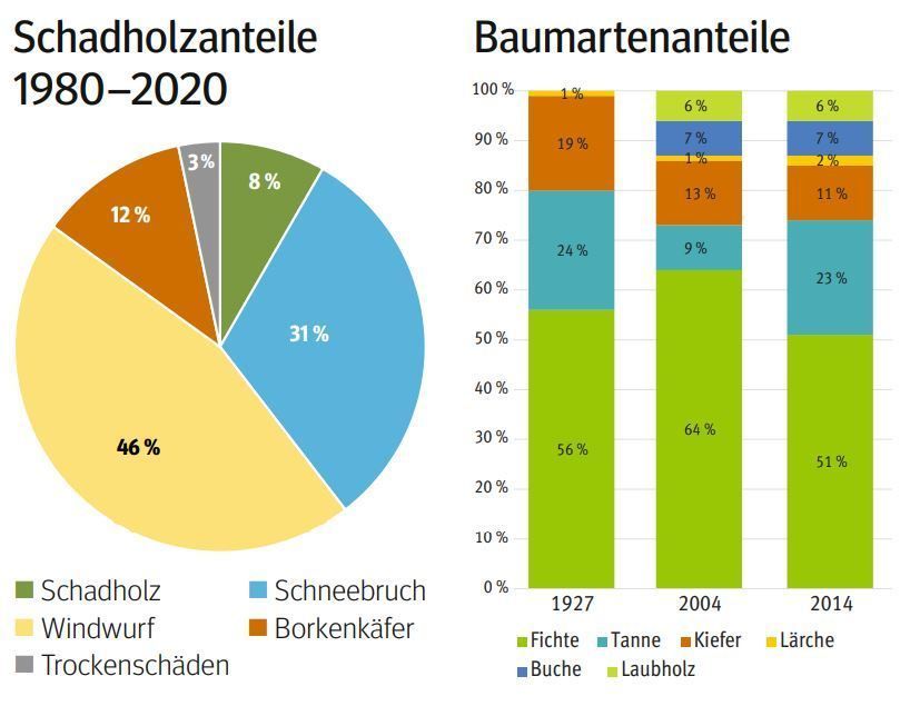 Hohenwart.jpg © LK Kärnten Hohenwart.jpg © LK Kärnten