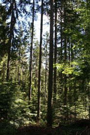 IMG_4228.jpg © Schmiedler