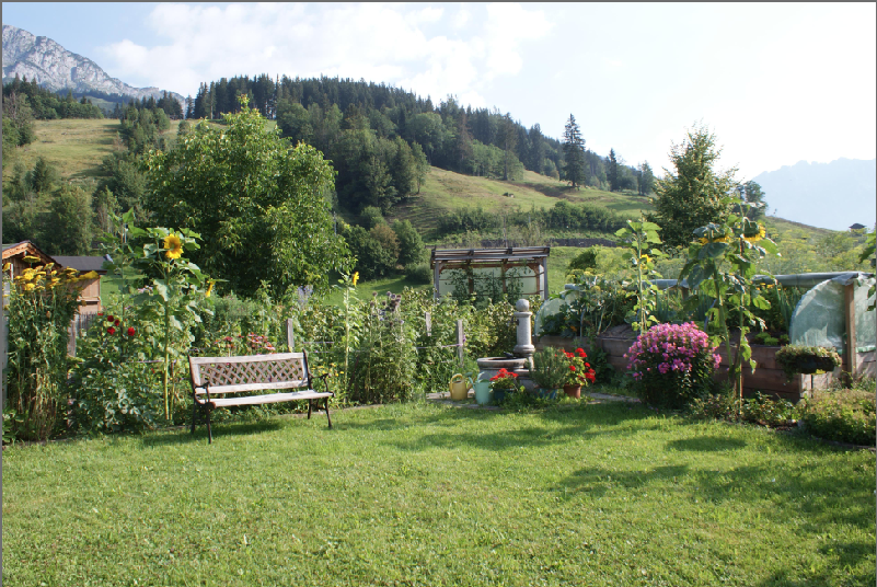 Widauer_Leogang.png © LK Salzburg Widauer_Leogang.png © LK Salzburg