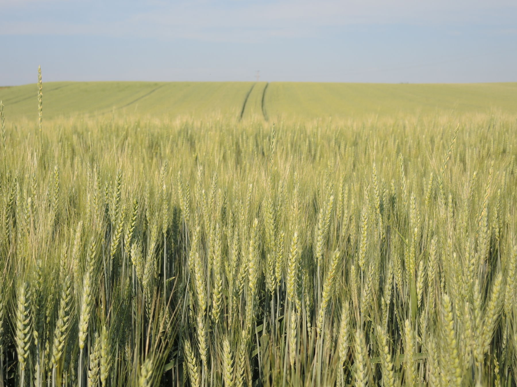 © Andrea Uhl LK NÖ © Andrea Uhl LK NÖ