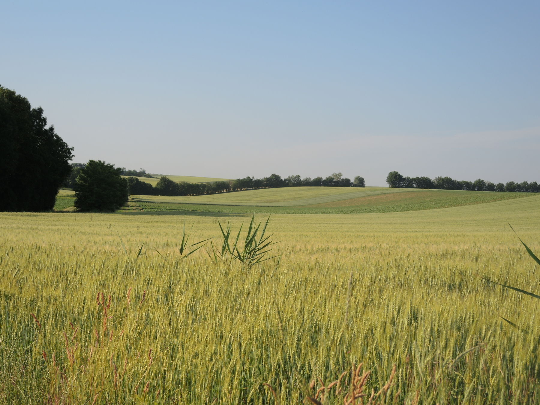 © Andrea Uhl LK NÖ © Andrea Uhl LK NÖ