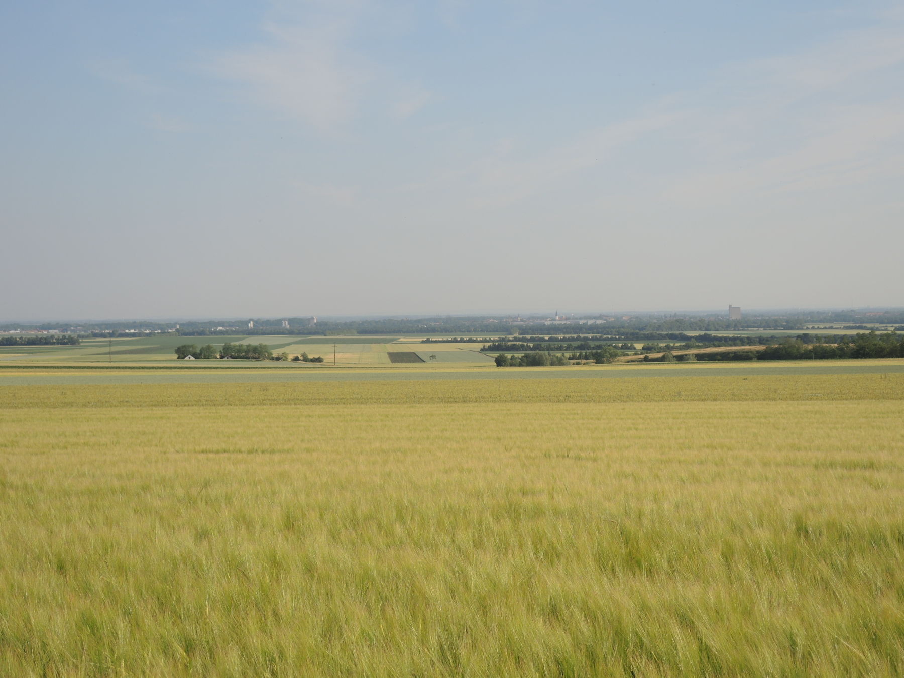 © Andrea Uhl LK NÖ © Andrea Uhl LK NÖ