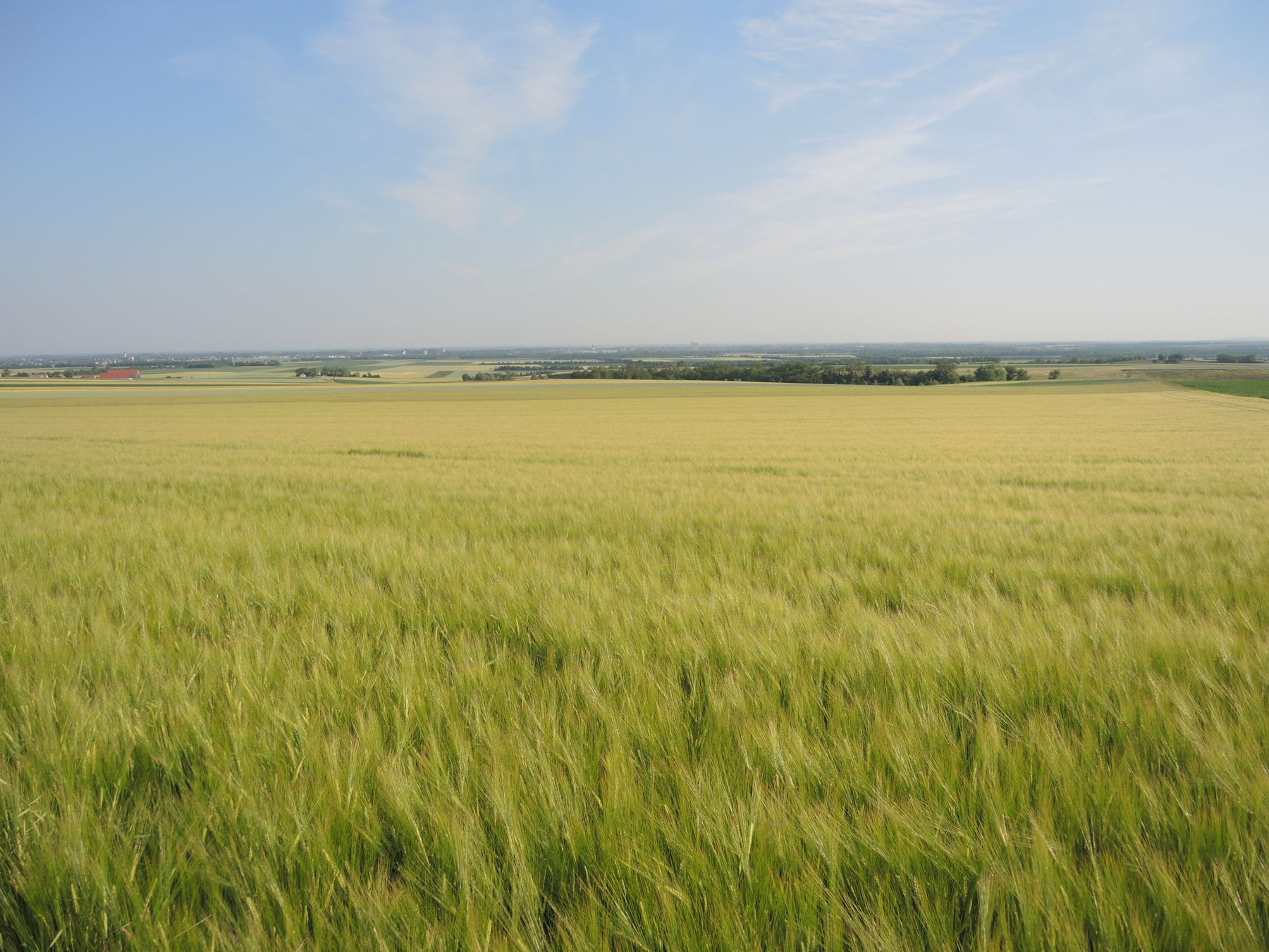 © Andrea Uhl LK NÖ © Andrea Uhl LK NÖ