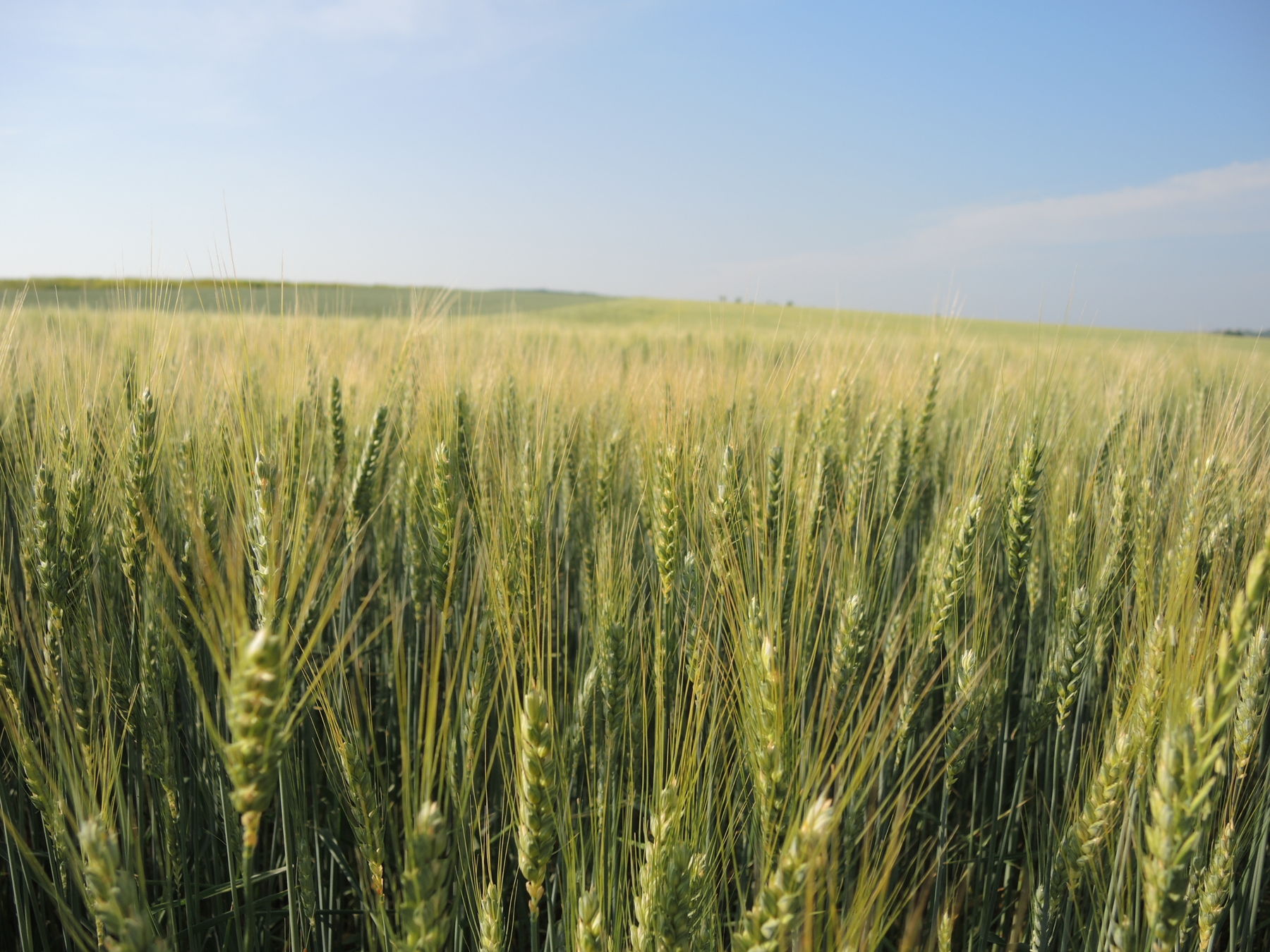 © Andrea Uhl LK NÖ © Andrea Uhl LK NÖ