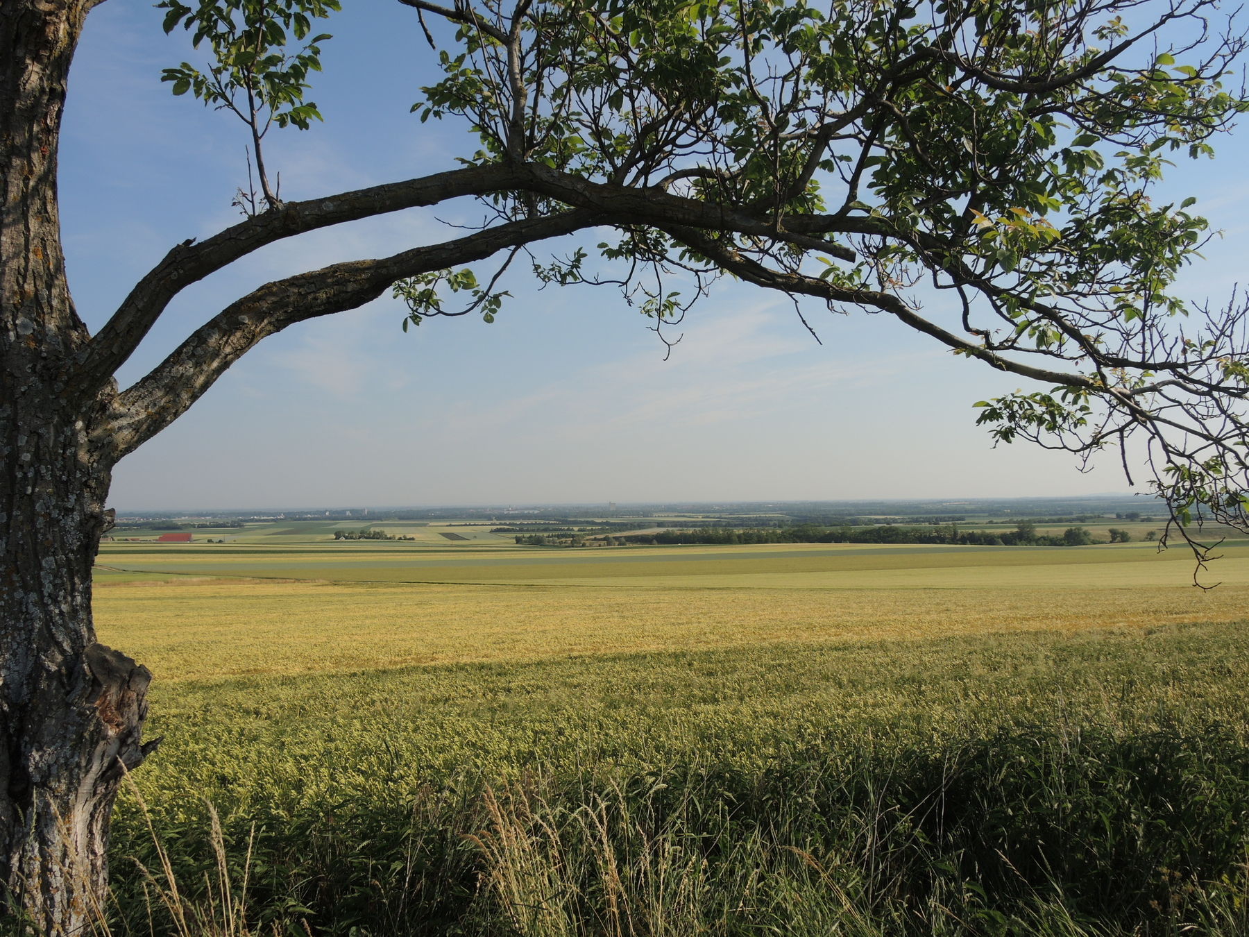 © Andrea Uhl LK NÖ © Andrea Uhl LK NÖ