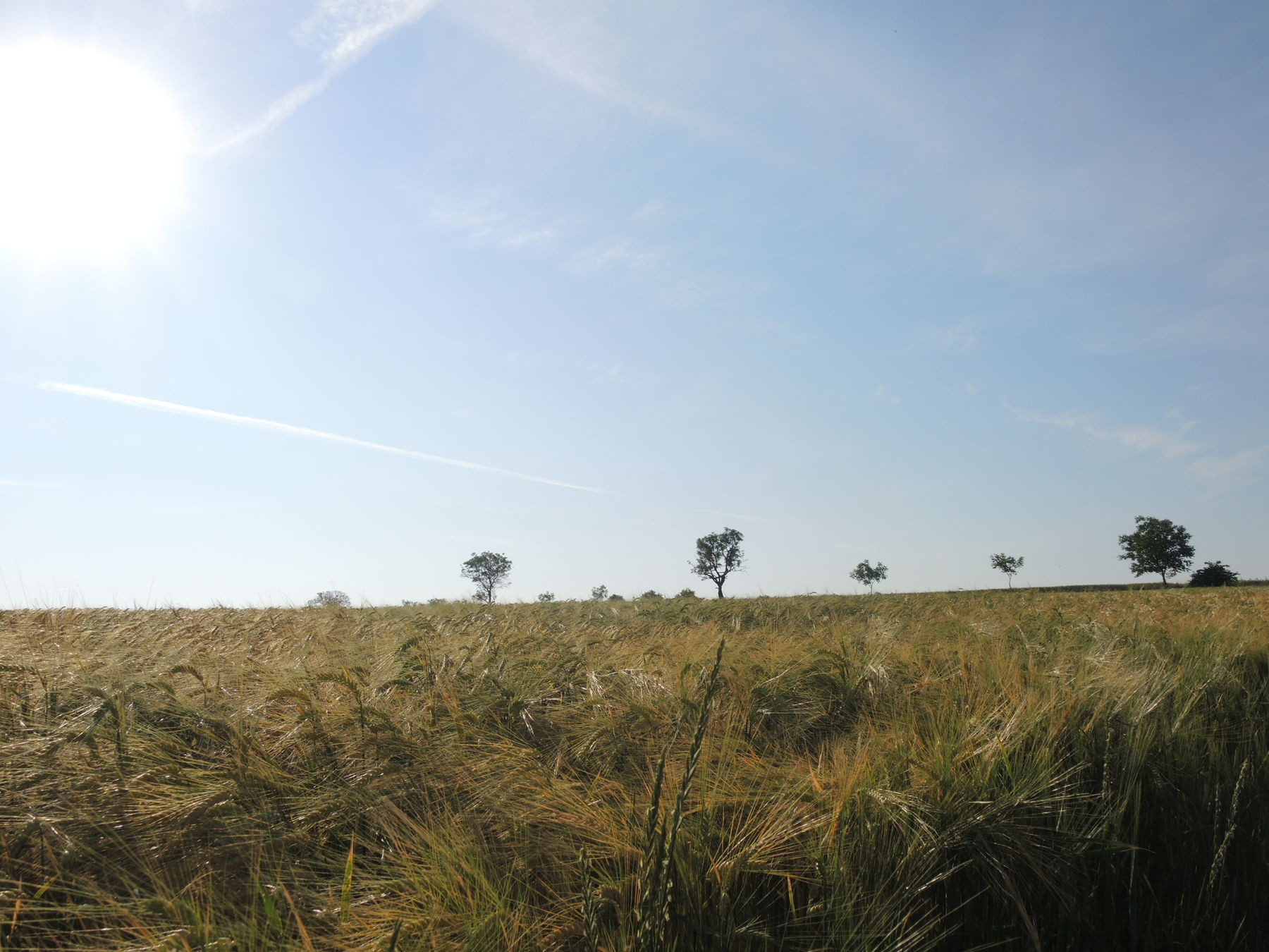 © Andrea Uhl LK NÖ © Andrea Uhl LK NÖ