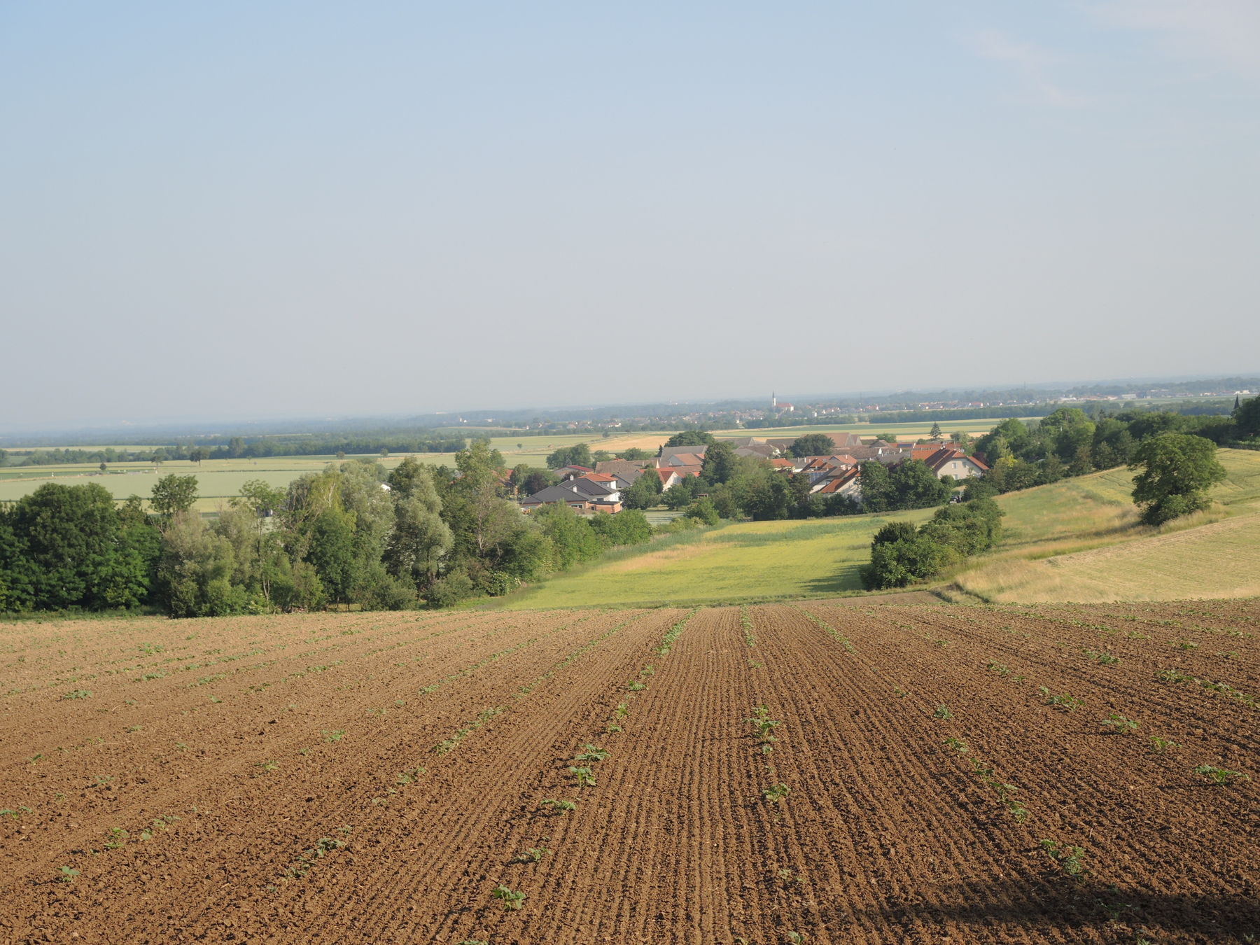 © Andrea Uhl LK NÖ © Andrea Uhl LK NÖ