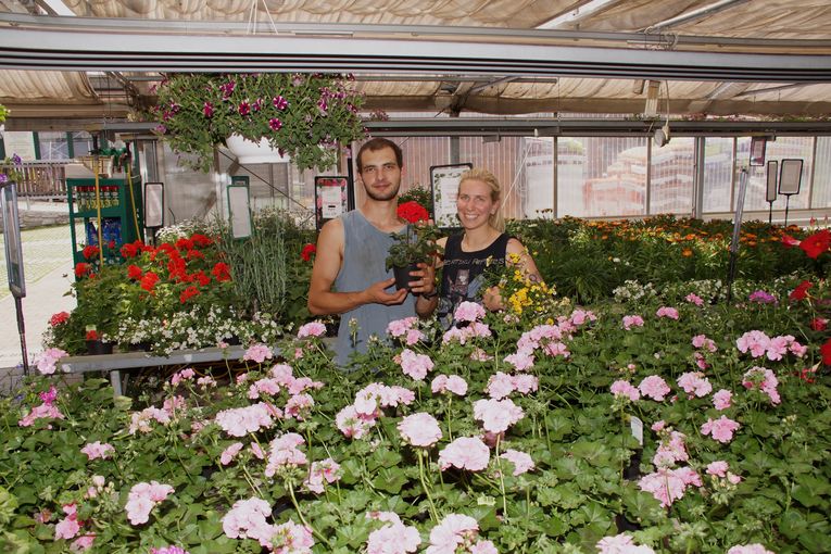 sb24_mt_blumen.jpg © Gudrun Dürnberger sb24_mt_blumen.jpg © Gudrun Dürnberger