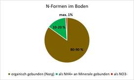 Grafik N Formen im Boden BWSB Falkensteiner.jpg