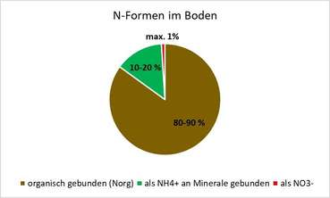 Grafik_N_Formen_im_Boden_BWSB_Falkensteiner.jpg © BWSB Grafik_N_Formen_im_Boden_BWSB_Falkensteiner.jpg © BWSB