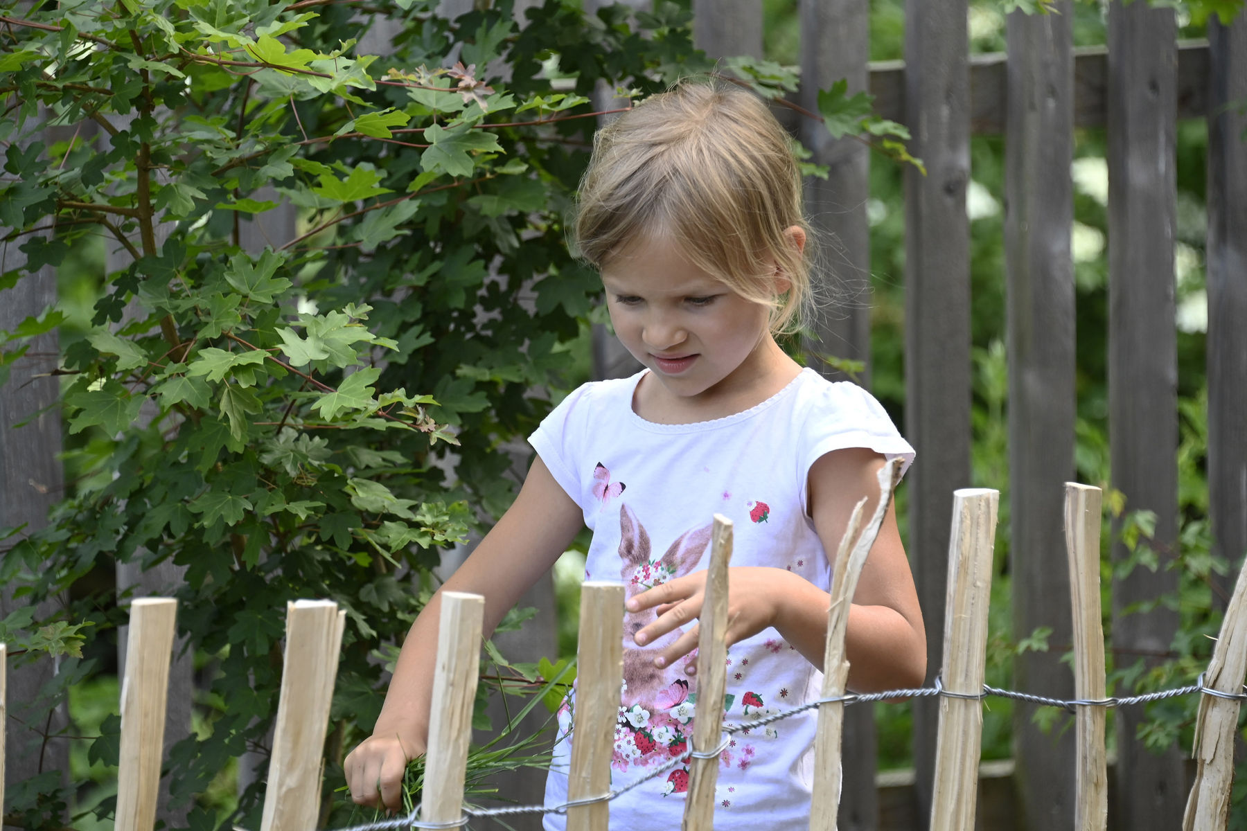 © Peter Kainrath © Peter Kainrath