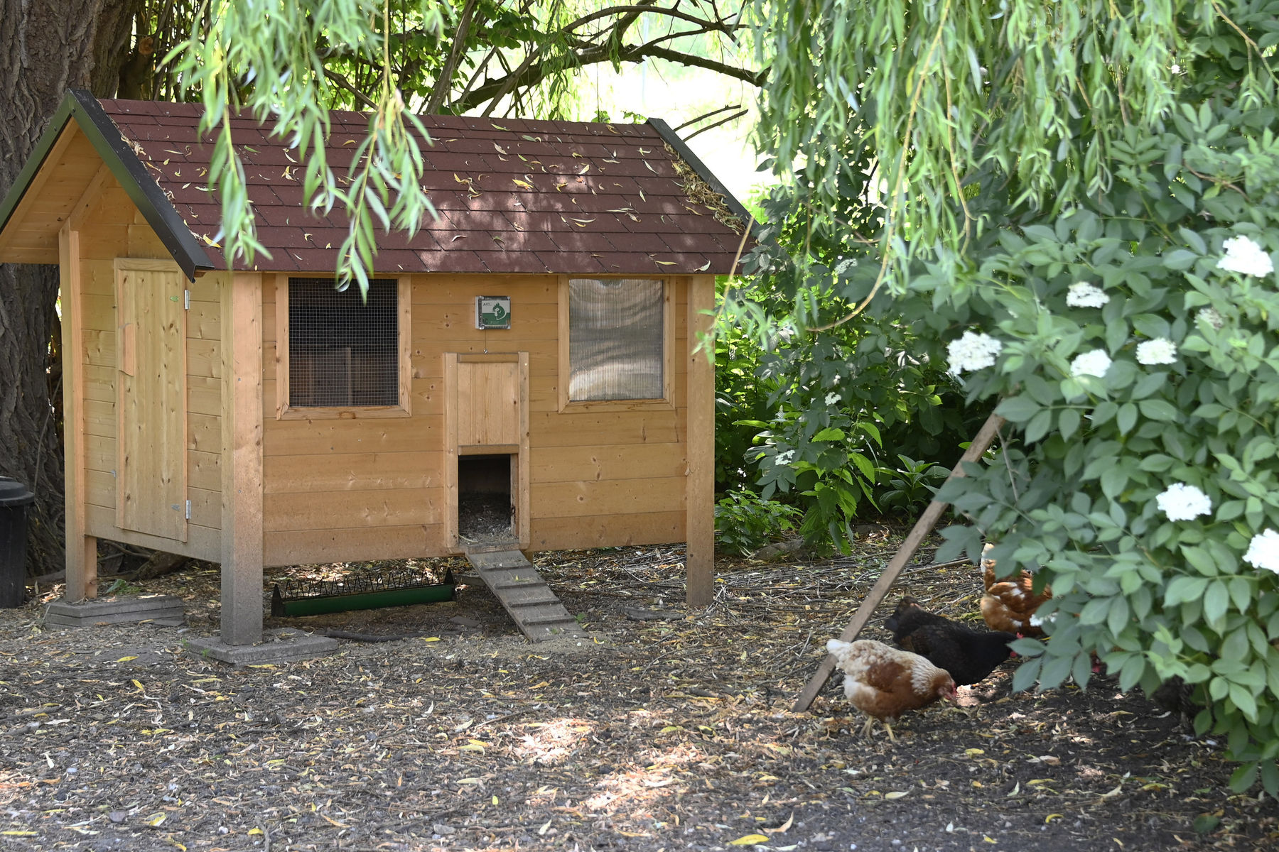 © Peter Kainrath © Peter Kainrath