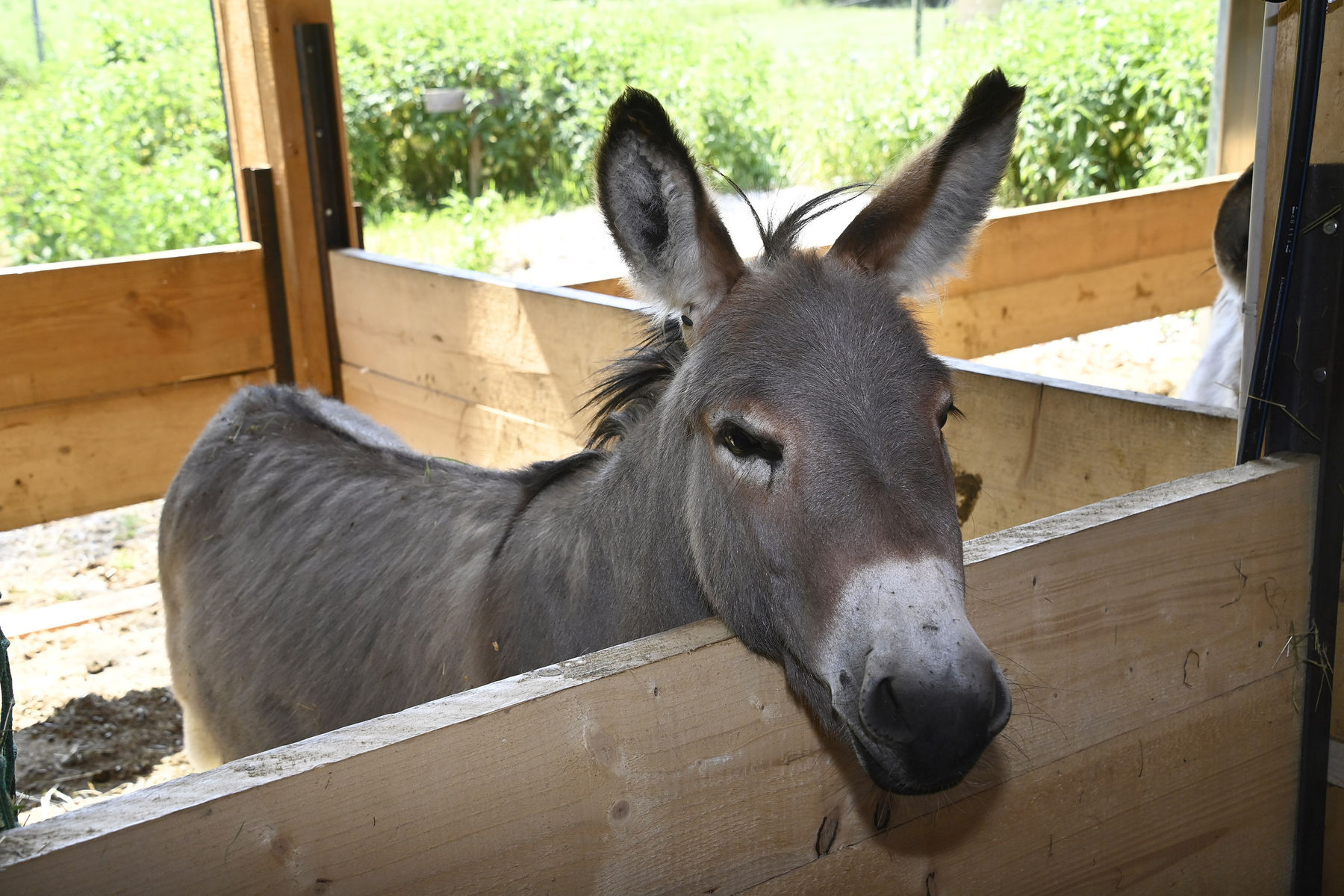 © Peter Kainrath © Peter Kainrath