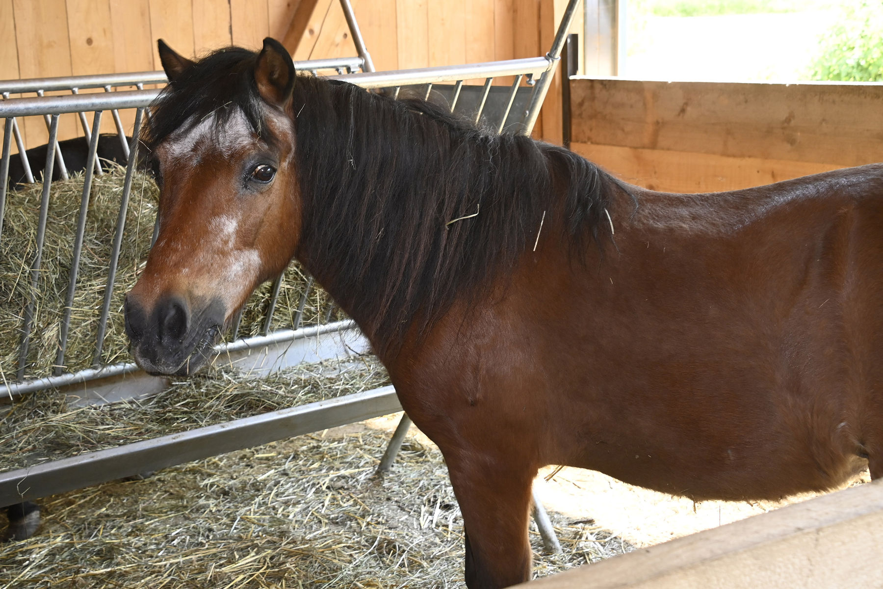 © Peter Kainrath © Peter Kainrath