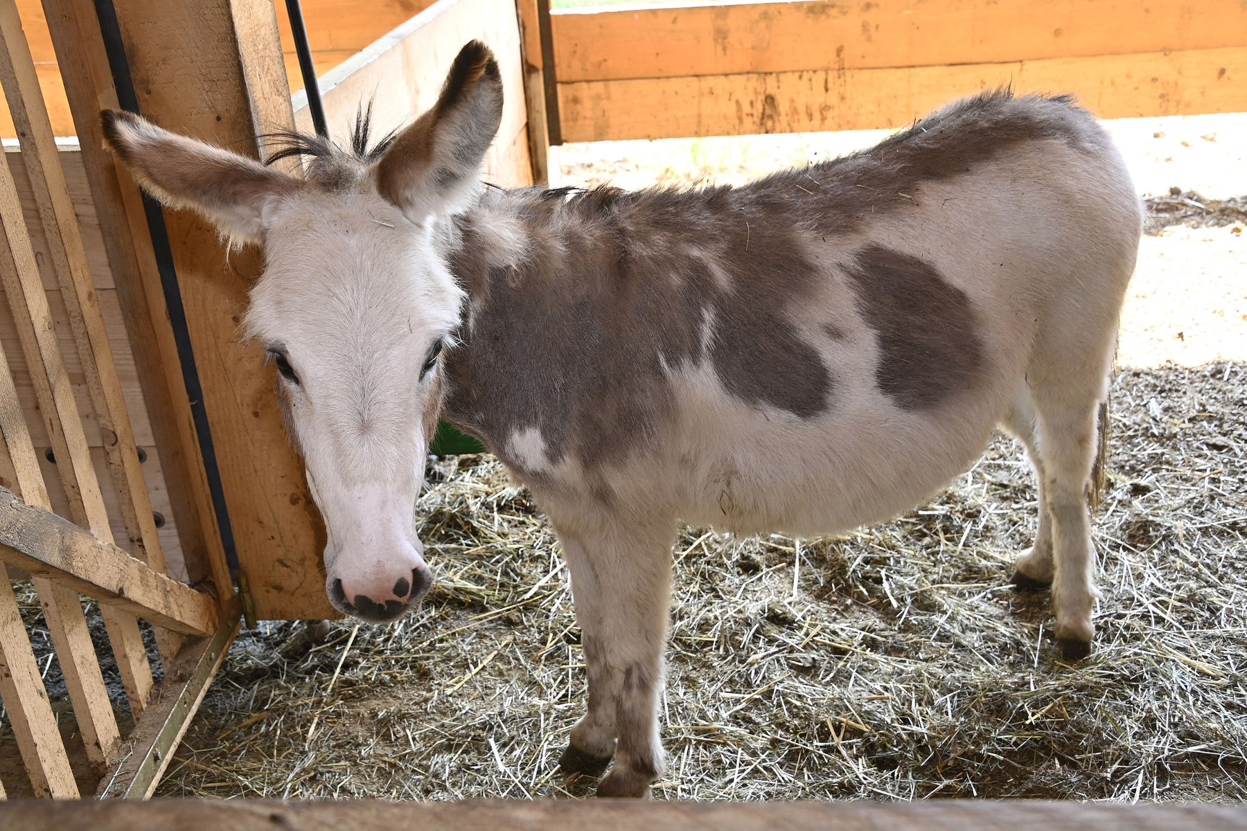 © Peter Kainrath © Peter Kainrath