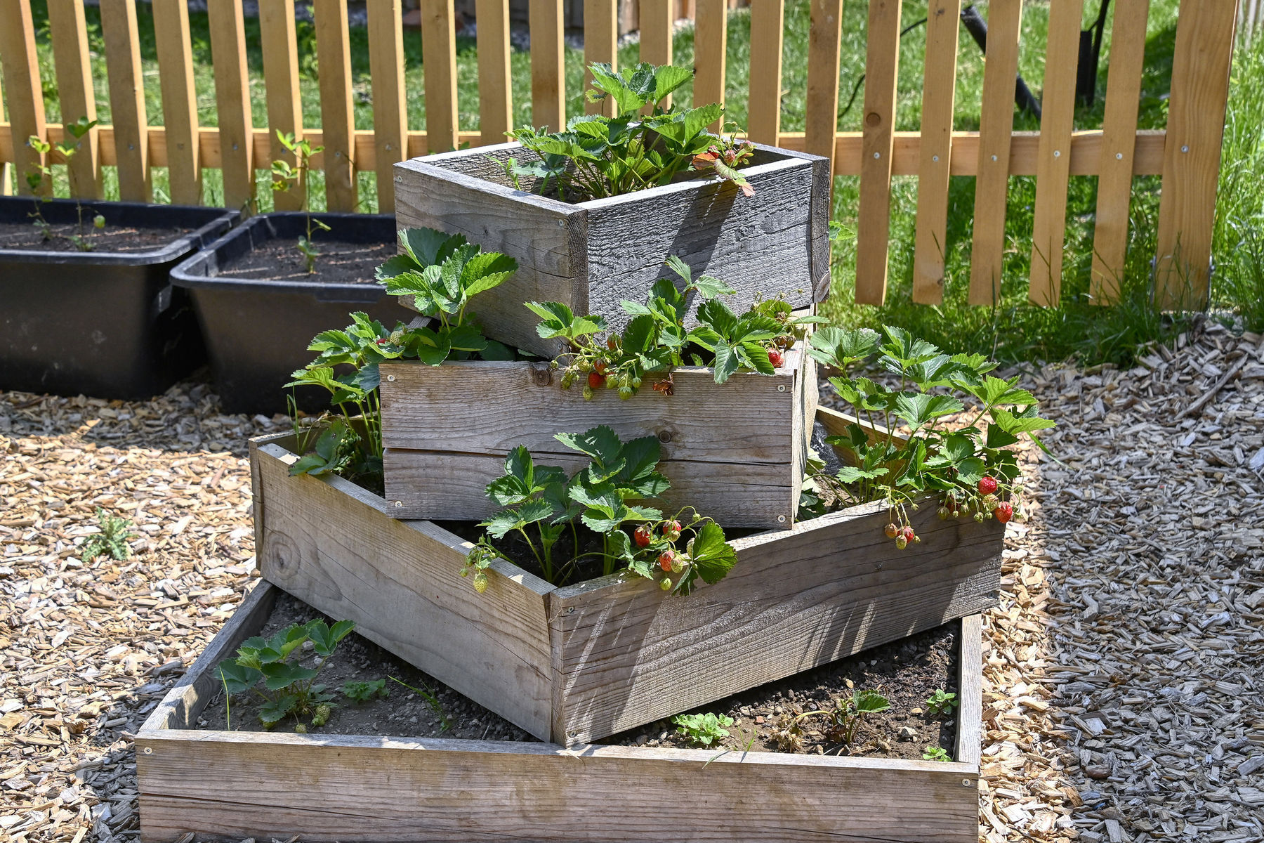 © Peter Kainrath © Peter Kainrath