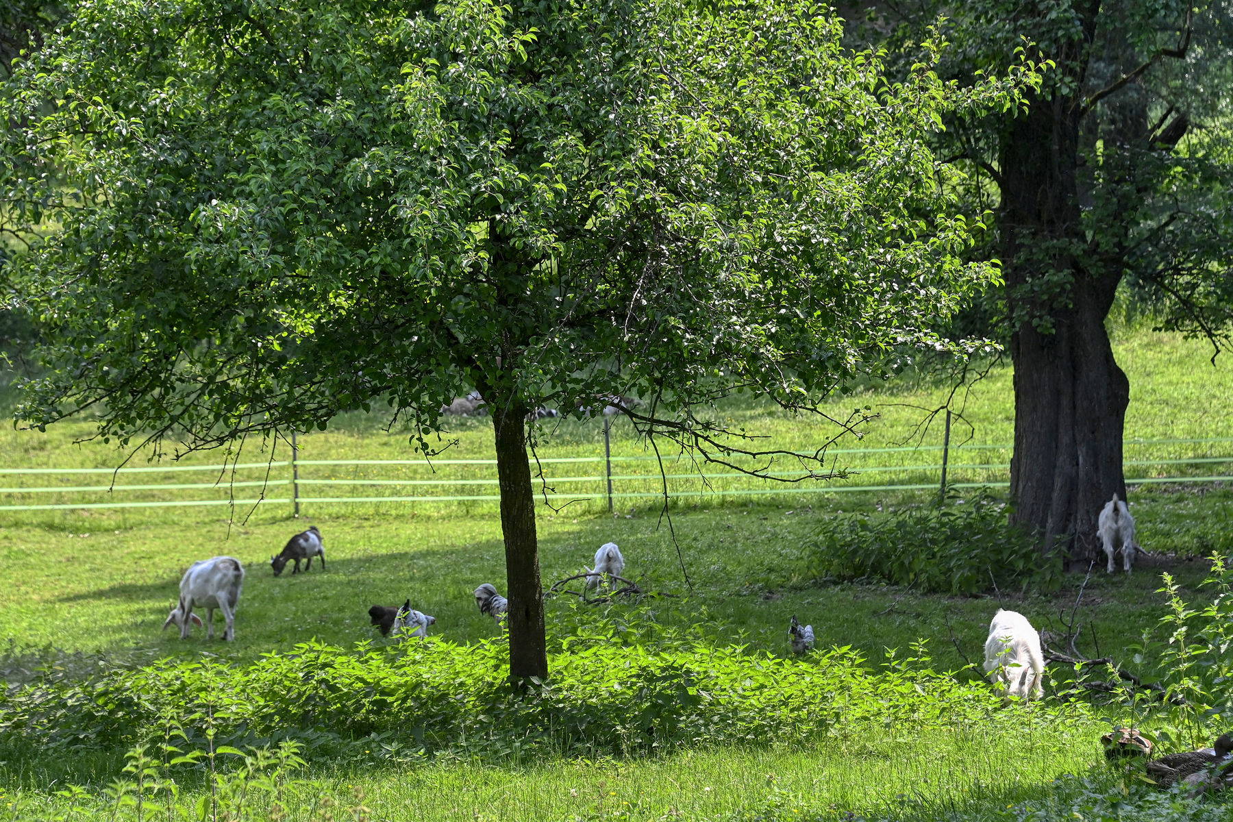 © Peter Kainrath © Peter Kainrath