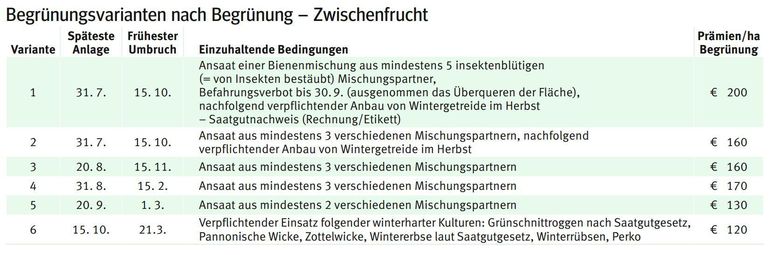 Begrünungsvariante.jpg © LK Kärnten Begrünungsvariante.jpg © LK Kärnten