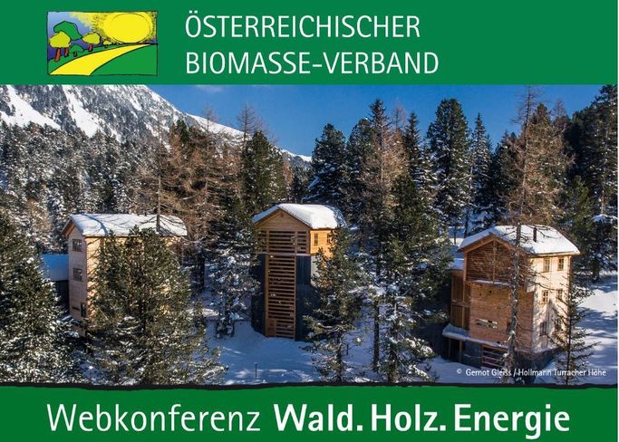 Die Aufzeichnung der Vorträge der Webkonferenz finden Sie unterhalb dieses Beitrages. © Österreichischer Biomasseverband