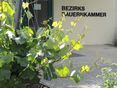 2018 BBK Mistelbach ©Andrea Uhl NÖ LK (1) © BBK Mistelbach