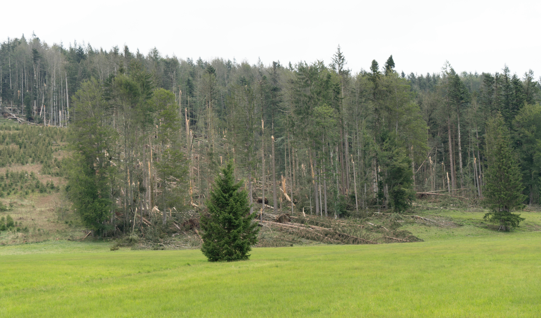 Unwetter hinterlassen massive Spuren.png © Kronreif Unwetter hinterlassen massive Spuren.png © Kronreif