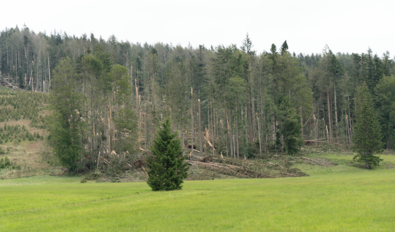 Unwetter hinterlassen massive Spuren.png