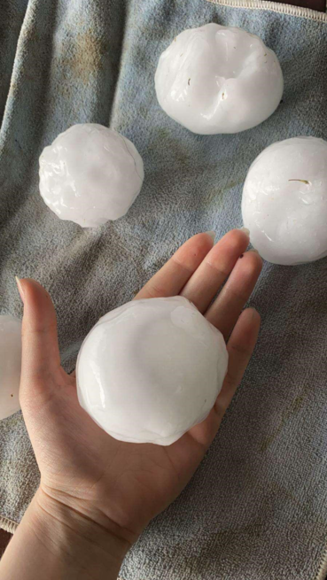 Unwetter hinterlassen massive Spuren.png © ÖHV Unwetter hinterlassen massive Spuren.png © ÖHV