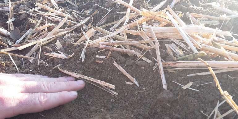 Mulch Hand.jpg Mulch Hand.jpg