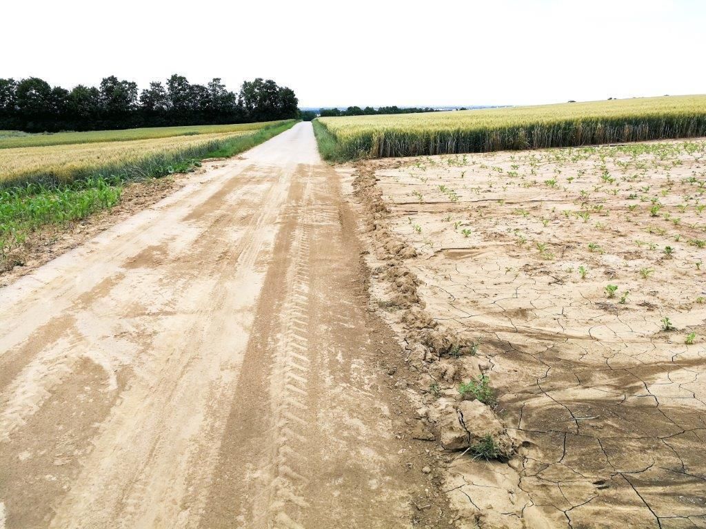 Starkniederschlagsereignisse können in Hackkulturen mit unbedecktem Boden und schlechter Bodenstruktur zu starkem Bodenabtrag führen. Damit gehen neben Humus auch wertvolle Pflanzennährstoffe verloren. © Martin Fischl/LK Niederösterreich Starkniederschlagsereignisse können in Hackkulturen mit unbedecktem Boden und schlechter Bodenstruktur zu starkem Bodenabtrag führen. Damit gehen neben Humus auch wertvolle Pflanzennährstoffe verloren. © Martin Fischl/LK Niederösterreich