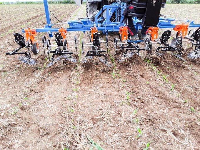 Scharhacke im Einsatz am EIP-Standort Limberg im Dreiblatt-Stadium von Mais. Das Mulchmaterial führt zu Verstopfungen beim ersten Hackdurchgang. © Martin Fischl/LK Niederösterreich Scharhacke im Einsatz am EIP-Standort Limberg im Dreiblatt-Stadium von Mais. Das Mulchmaterial führt zu Verstopfungen beim ersten Hackdurchgang. © Martin Fischl/LK Niederösterreich