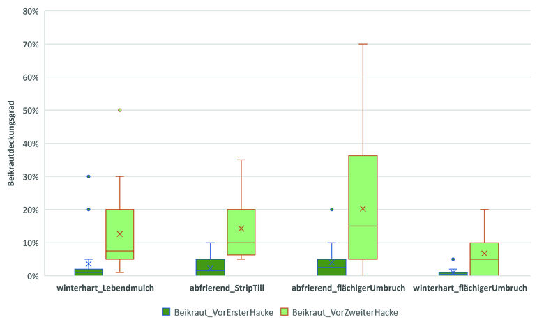 Beikrautaufkommen im Mais-Streifenversuch am EIP-Standort Ameis bei Laa. Bonitiert wurde nur ein 10 cm breiter Streifen im Bereich der Kulturpflanzenreihe – generell der Schwachpunkt in der mechanischen Beikrautregulierung. © Martin Fischl/LK Niederösterreich Beikrautaufkommen im Mais-Streifenversuch am EIP-Standort Ameis bei Laa. Bonitiert wurde nur ein 10 cm breiter Streifen im Bereich der Kulturpflanzenreihe – generell der Schwachpunkt in der mechanischen Beikrautregulierung. © Martin Fischl/LK Niederösterreich