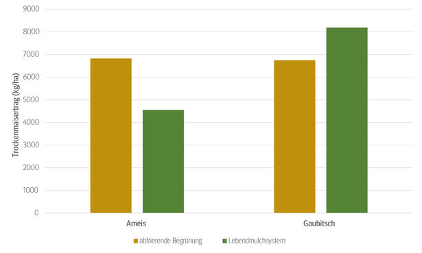 Die Trockenmaiserträge entwickelten sich an den EIP-Versuchsstandorten Gaubitsch und Ameis im nördlichen Weinviertel im Streifenversuch 2020 gegensätzlich.