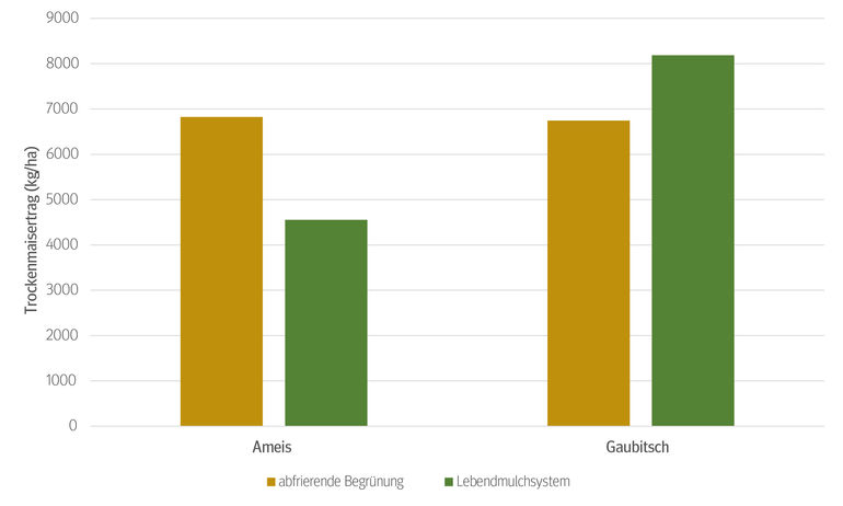 Die Trockenmaiserträge entwickelten sich an den EIP-Versuchsstandorten Gaubitsch und Ameis im nördlichen Weinviertel im Streifenversuch 2020 gegensätzlich.