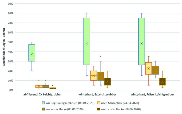 Die winterharte Wickroggenbegrünung erzielte in Mais deutlich höhere Mulchbedeckungsgrade bis zum ersten Hackdurchgang als die abfrierende Begrünung (EIP-Standort Limberg, 2020).