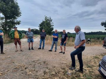 Bilder von der Vorernte-Feldbegehung der Arbeitskreise Bezirk Perg mit KR Norbert Ecker##+##7. Juli 2021