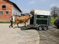 Tiertransport © Klaus Perscha