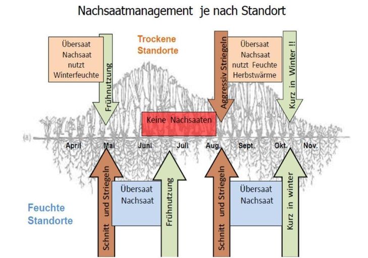 Nachsaatmanagement Grünland © Günther Kodym, LFS Warth