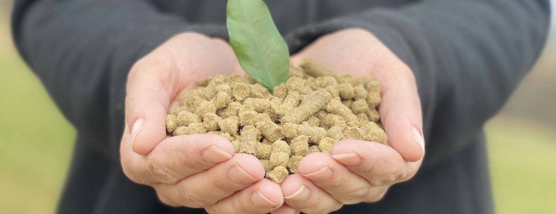 Schafwollpellets.jpg © Weitschacher Schafwollpellets.jpg © Weitschacher