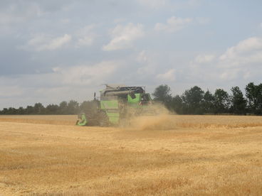 2021 Ernte © Andrea Uhl LK NÖ (1).jpg © Andrea Uhl LK NÖ 2021 Ernte © Andrea Uhl LK NÖ (1).jpg © Andrea Uhl LK NÖ