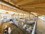 Tierwohlstall Familie Neuhold Tierwohlstall Familie Neuhold