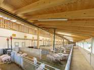 Tierwohlstall Familie Neuhold © Tierschutzombuds­stelle, Linshalm
