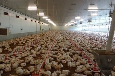 14kl.jpg © Landwirtschaftskammer Oberösterreich/Rechtsabteilung 14kl.jpg © Landwirtschaftskammer Oberösterreich/Rechtsabteilung